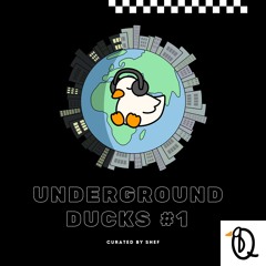 Underground Ducks (Vol. 1)