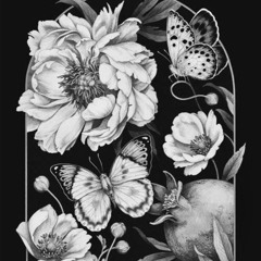 Belfast (Penguins and Cats) ft. Max (Katie Melua Cover)