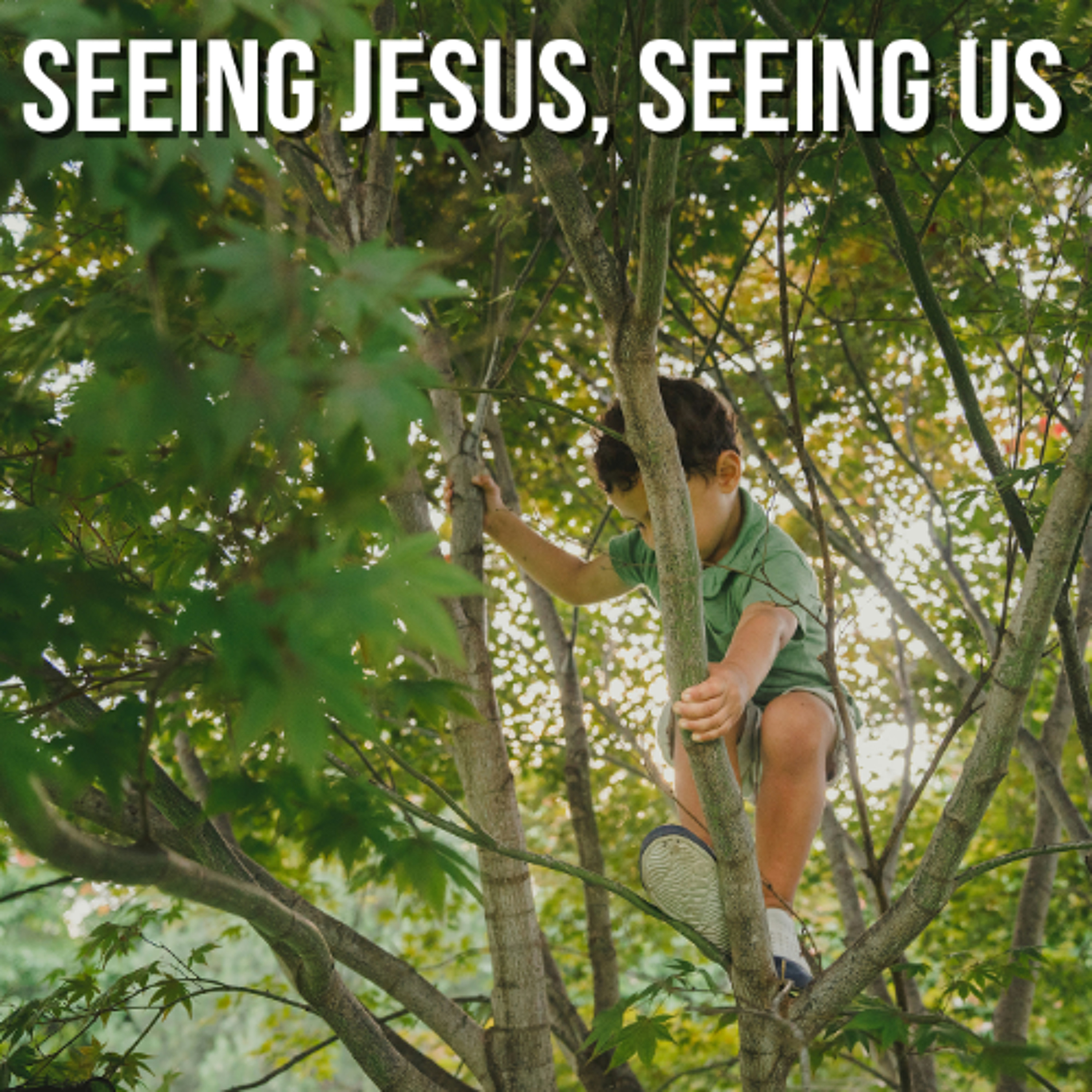 Seeing Jesus, Seeing us