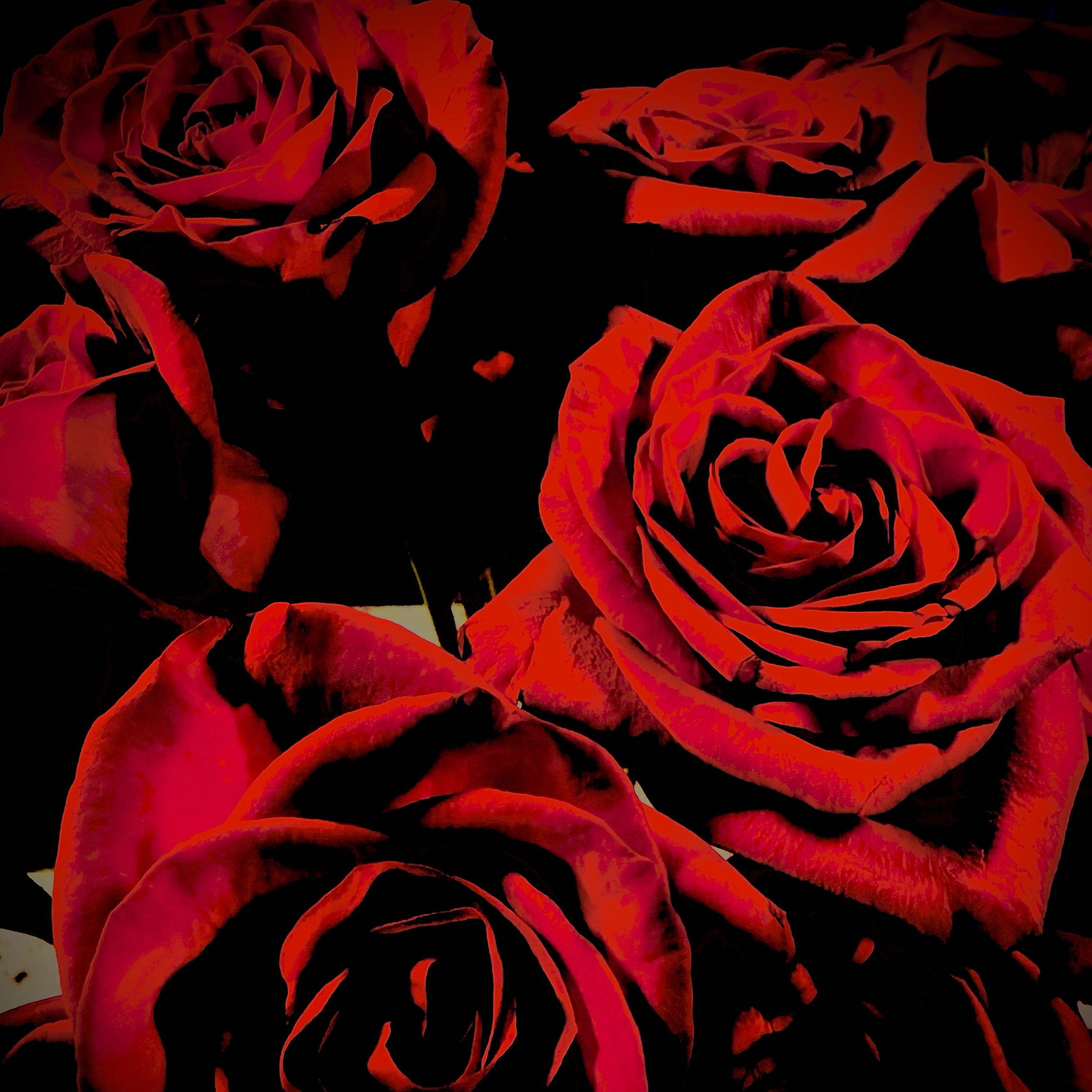 deadinside deadoutside