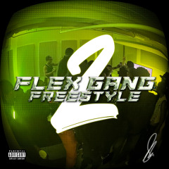 Flex Gang Freestyle 2 (feat. Sassy Face, Fauxcuss, Lloyd King, Nadjilia, Nina Mari, Jessyka, NiaFromTheB, Baddy & Mr. Benjamins)