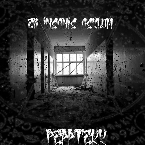 PepptekK - Ex Insanis Asylum  [166BPM]