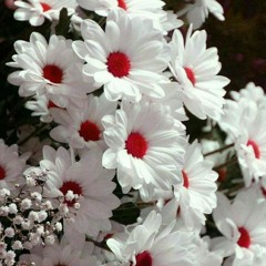 Kalimat Music_Magda Elromy_Duo Aznèm موسيقي كلمات ماجدة الرومي 💞