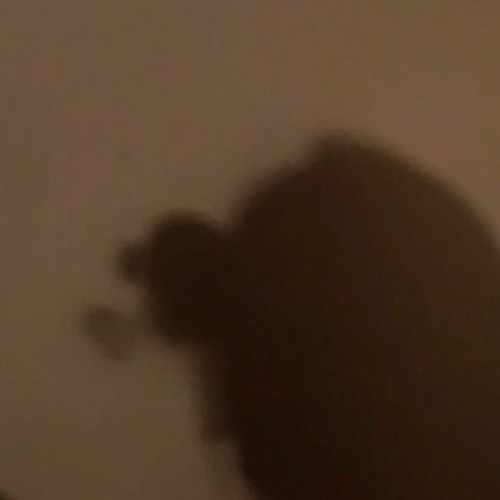Voice 016 - neu khi em gap anh