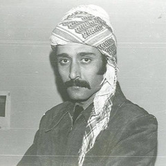 Necmettin Büyükkaya-tu che gueverayê kurda