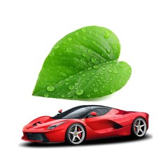 vroum vroum la feuille