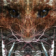 Shamanic Music