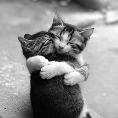 MADAME MON PETIT BONNET