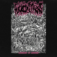 FUCKED WITH RATS - ABSORBED BY ANGUISH (PROD. BY RIRIDEATH)