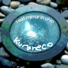 i eat mirror in ohio