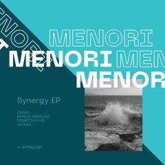 Menori - Numinous (Sebastian Hal Remix)
