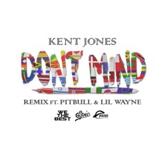 Don't Mind (Remix) [feat. Pitbull & Lil Wayne]