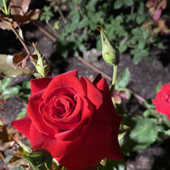 人型ロボットprod by shumax