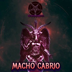 Macho Cabrìo (Original Game Soundtrack)