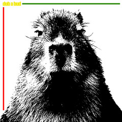 DUB A BUD - KAPIBARA