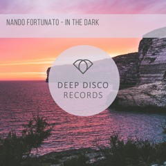 Nando Fortunato - In The Dark