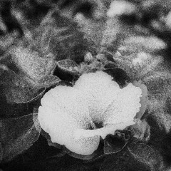 Dont you  | Hiphop typebeat 130 Gm |