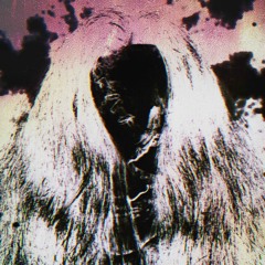 pumpkin field revamp