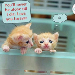 melly - trance (prod Yarch1)