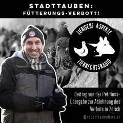 Stadttauben: Fütterungsverbot in Zürich?!