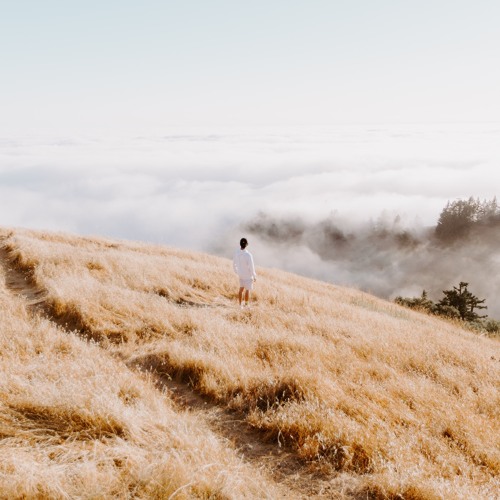 Sorrow (interlude) prod. purc