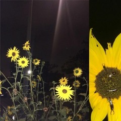 Sophiaaaahjkl;8901 - Gryllidae Campestris Small Claims Court