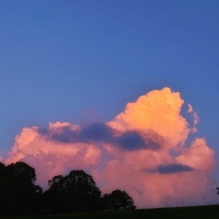 silver (acoustic draft, feat. venus)