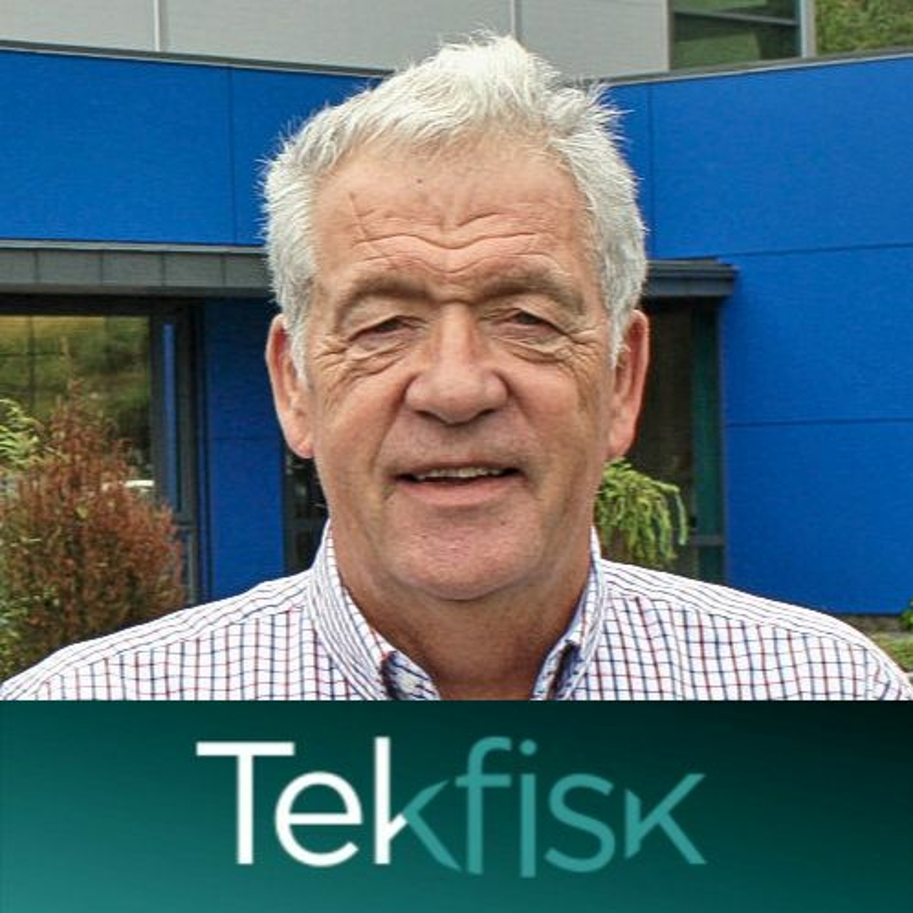Tekfisk