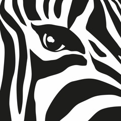 Massive Zebra - Releases