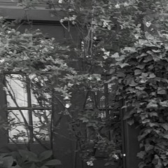 resident, affordable housing for artists development