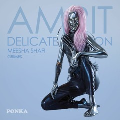 Amrit x Delicate Weapon - Meesha Shafi x Grimes - Ponka Mashup!