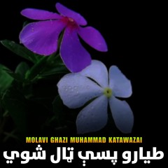 طيارو پسې ټال شوي