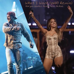 Morgan Wallen x Tate McRae - What I Want (pH10 Remix)