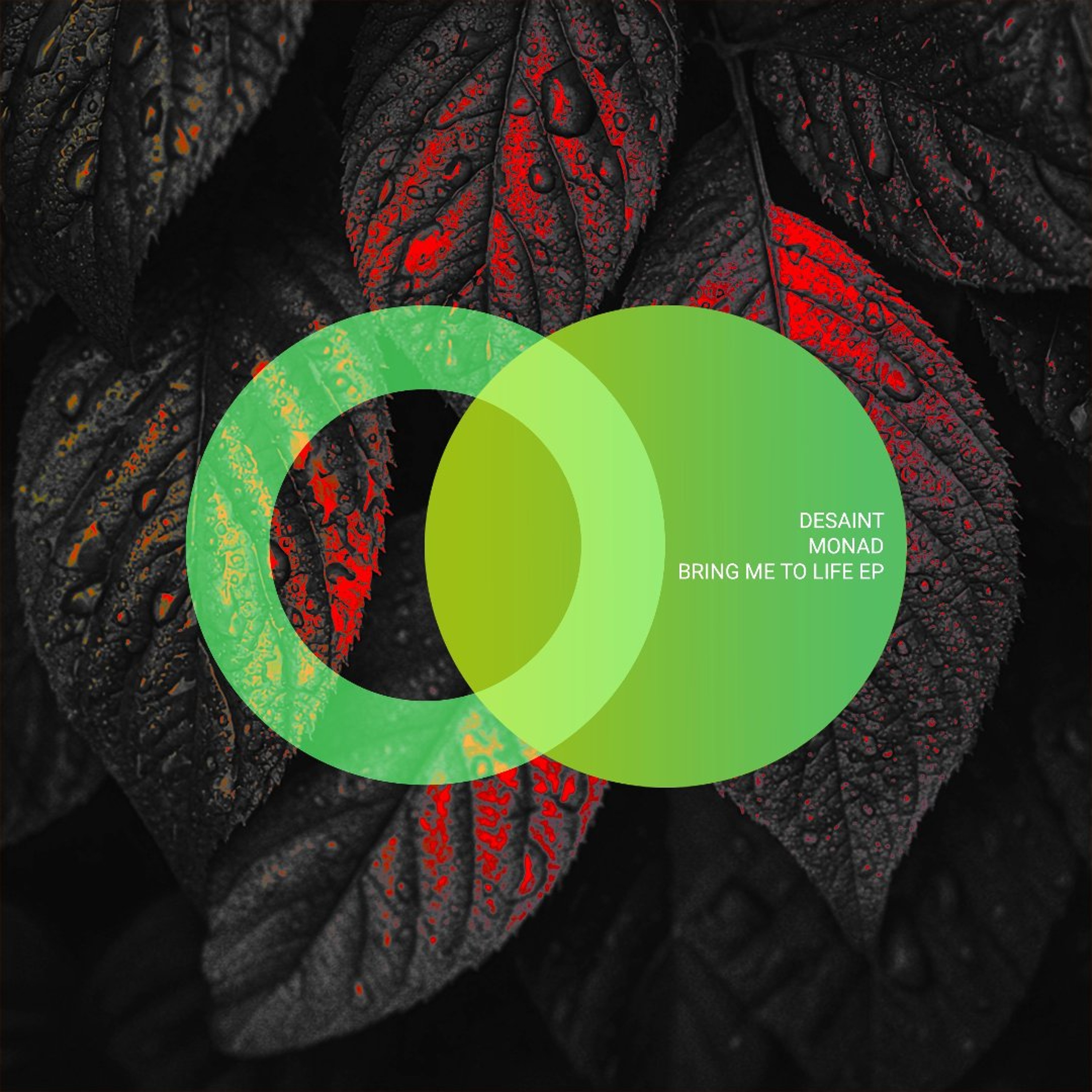 Exclusive Premiere: Desaint, Monad - Bring Me To Life (Original Mix) // AREA VERDE