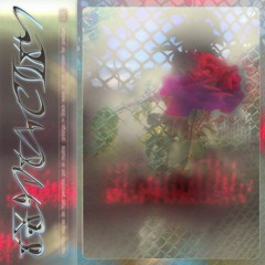 Tentacity 04/22 by Ida Elastic