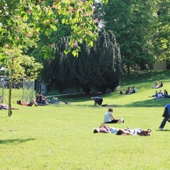 Stadspark Vibe - C-Dog ft Vivi