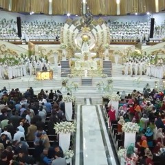 Estamos con usted 8 de Dic. 2024