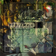 schisme.s vol. 11 - Réservoir