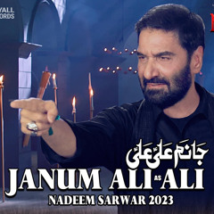 Janum Ali Ali Nadeem Sarwar 2023 1445.mp3