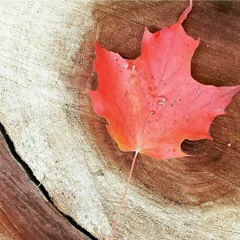 Maple Leaf Monologue