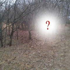 𝔤𝔥𝔬𝔰𝔱 𝔦𝔫 𝔱𝔥𝔢 𝔰𝔥𝔢𝔩𝔩 rͭ̓ͩ͏̞͍͎̻͔e̤̜̜̪̟̱͌ͩ̕m̹̤͕͈͛͒ͫ͢ḭ̹̭̞̰̌́͠x͉̫̻̊̿̾͡ <3