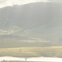 Ardersier Drive - Jane Bourke