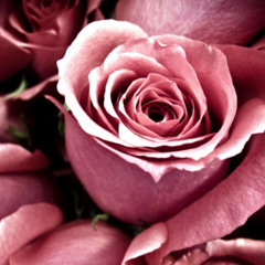 this is a love song v1