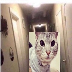 holes in everything