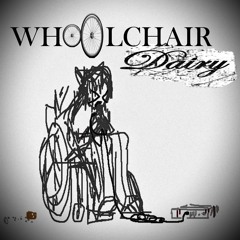 wheelchair diary
