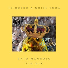 Rato Manhoso - Te Quero A Noite Toda (TimMix)