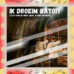 Ik Droeim Batoit - 2 DJ's Van De Mert (Mac 'N Vino Mashup)