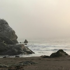 Usal Beach Mix LIVE 8/14/21