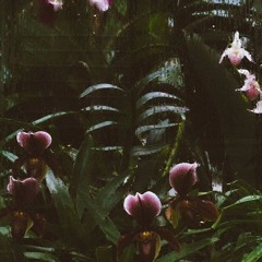 a.a.a.a.a.a.a.a.a.a.