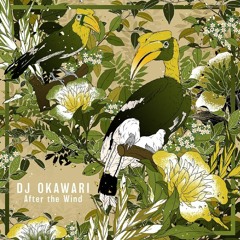 DJ OKAWARI - After The Wind